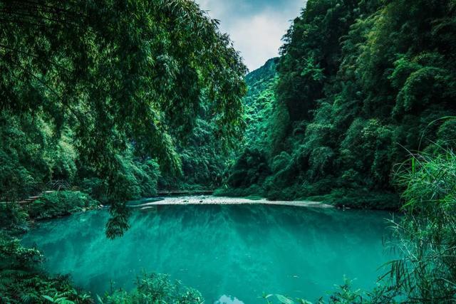 逃出猫头鹰岛